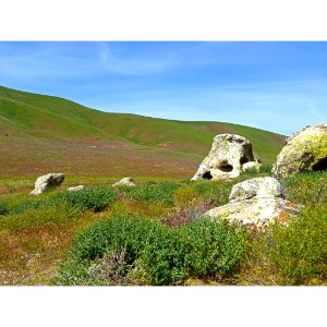 Rocks by M. Watton