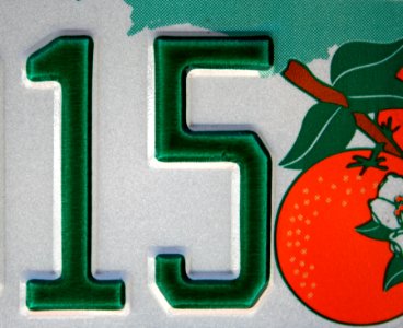 Florida Plates 15