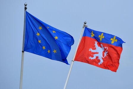 Lion europe flutter