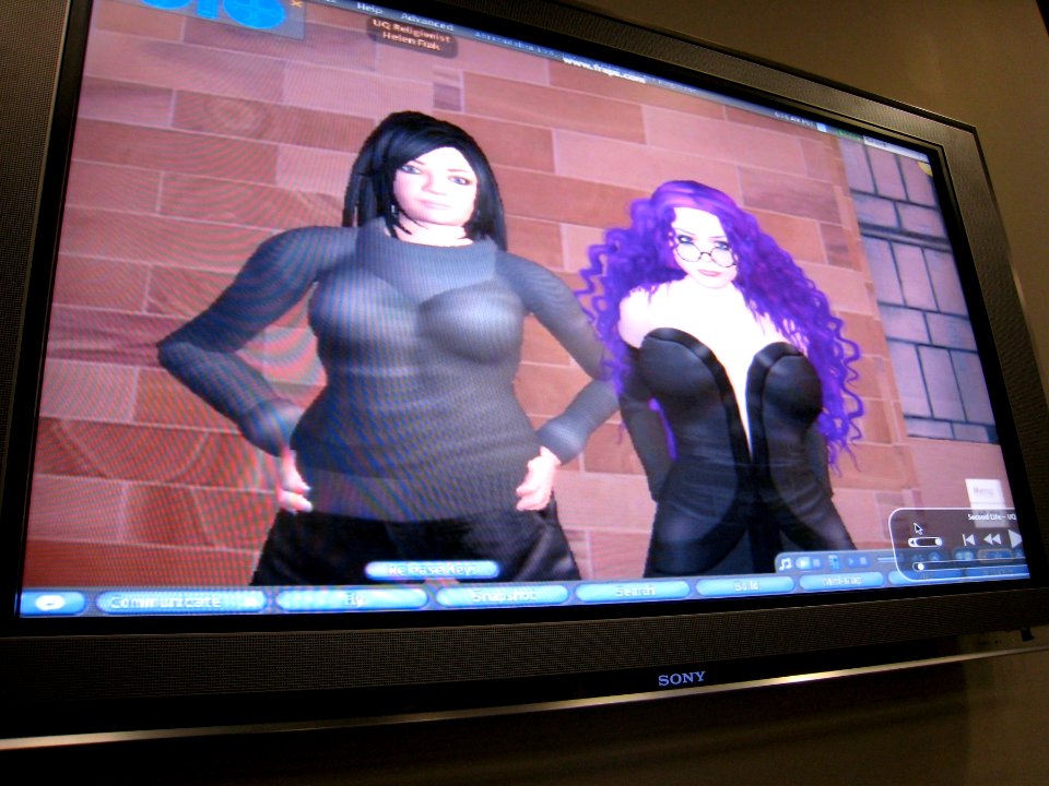 Second Life Demo