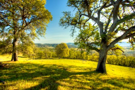 Berryessa Snow Mountain National Monument