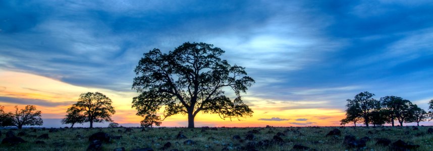 Sacramento River Bend Outstanding Natural Area