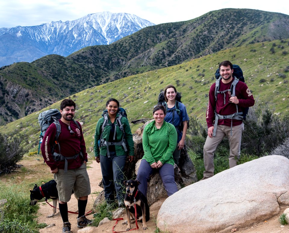 Pacific Crest Trail photo