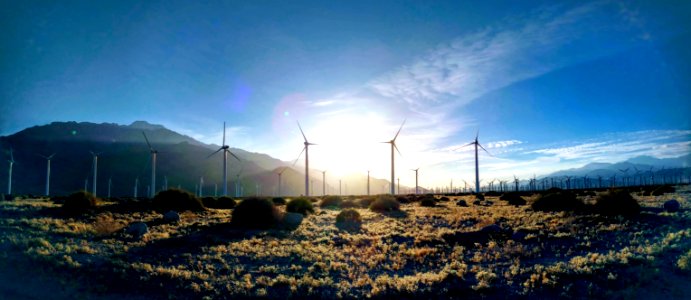 WINNER: Wind and Sun in Palm Springs-South Coast Field Office photo