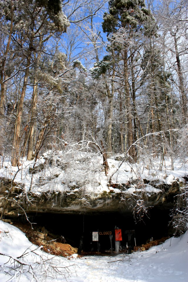 Indiana Bat Priority 1 Hibernaculum, Wyandotte Cave, IN A. King