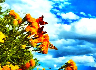Two Ponds Impressionist 4