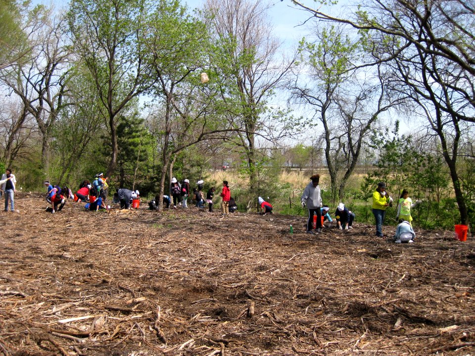Chicago Burnham Corridor Volunteers planting