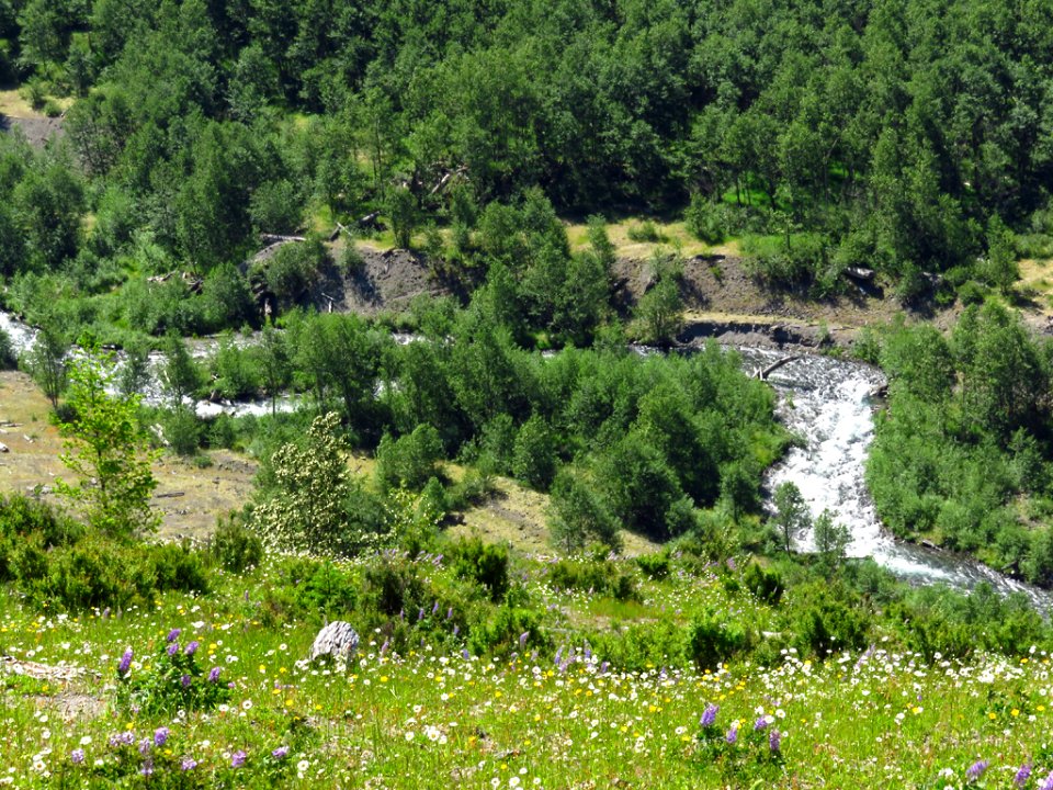 Coldwater Creek at Mt. St. Helens NM in Washington