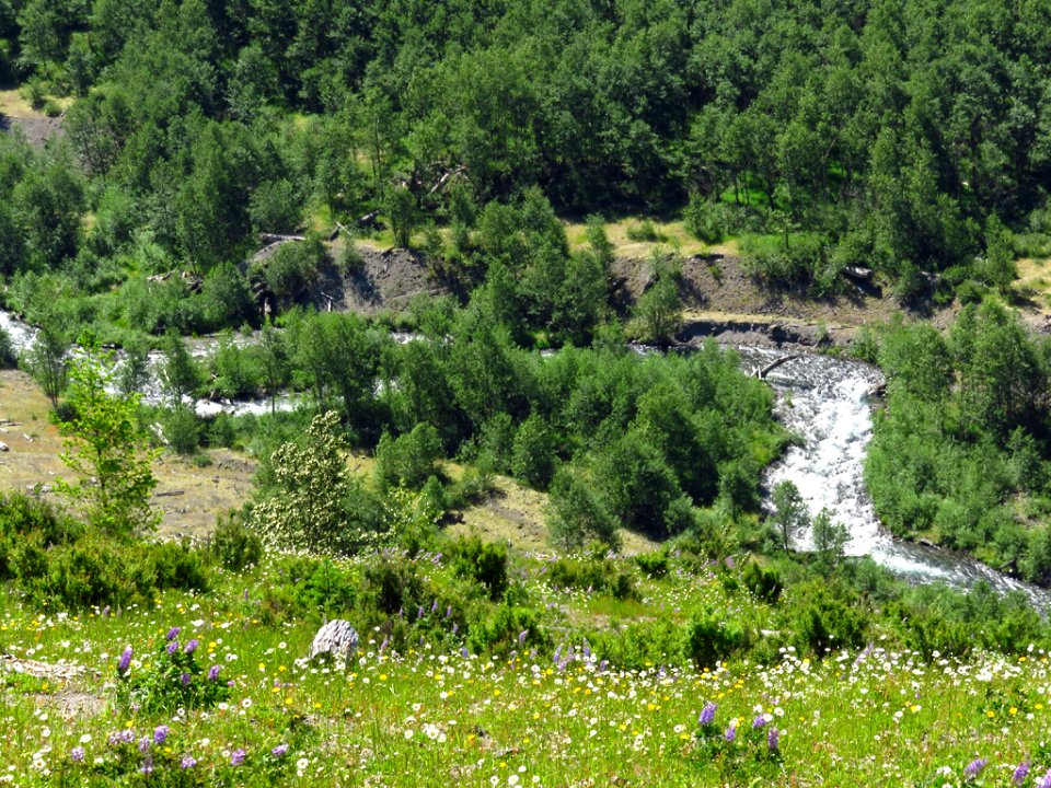 Coldwater Creek at Mt. St. Helens NM in Washington photo