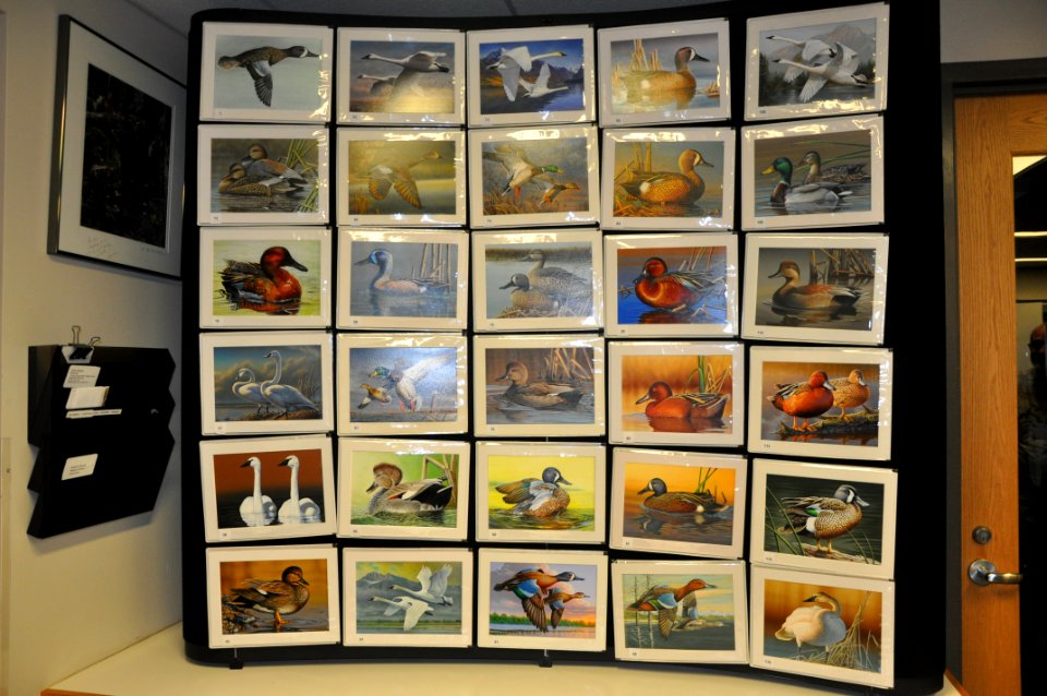 2017 Federal Duck Stamp Art Contest Media Kit