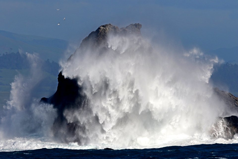 Piedras Blancas Light Station Outstanding Natural Area