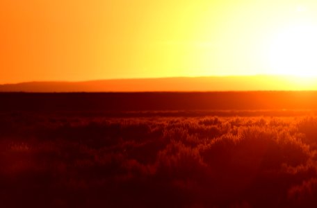 Sagebrush sunset at Seedskadee National Wildlife Refuge