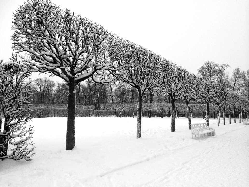 Snow landscape white