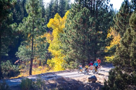 Bizz Johnson Trail