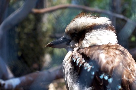 Dignified Profile