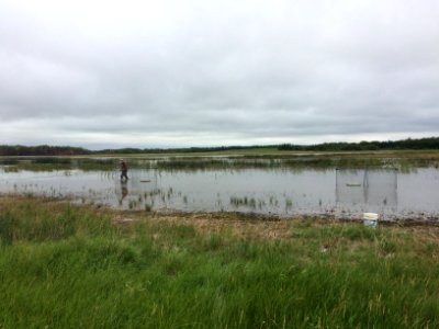 Waterfowl Banding Location