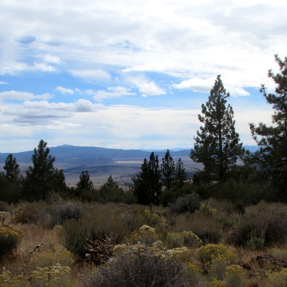 Applegate Field Office