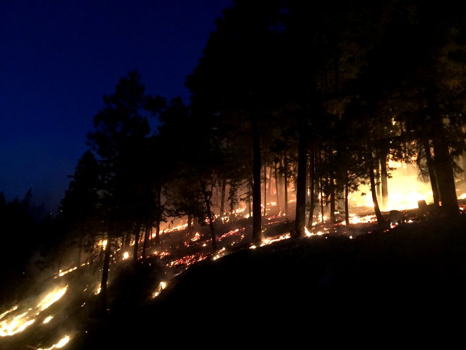 2016 Fire Season with the Folsom Lake Veterans' Fire Crew