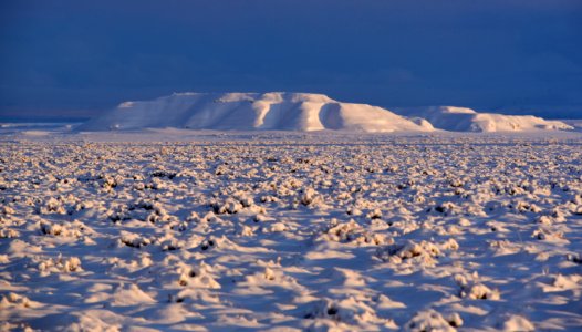 Sage steppe in winter at Seedskadee National Wildlife Refuge