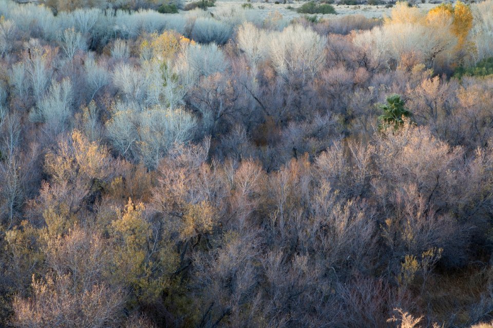 Sand to Snow National Monument