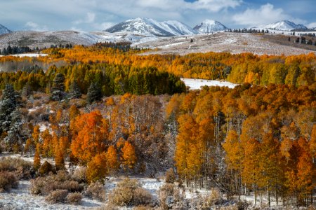 Conway Summit Area of Critical Environmental Concern photo