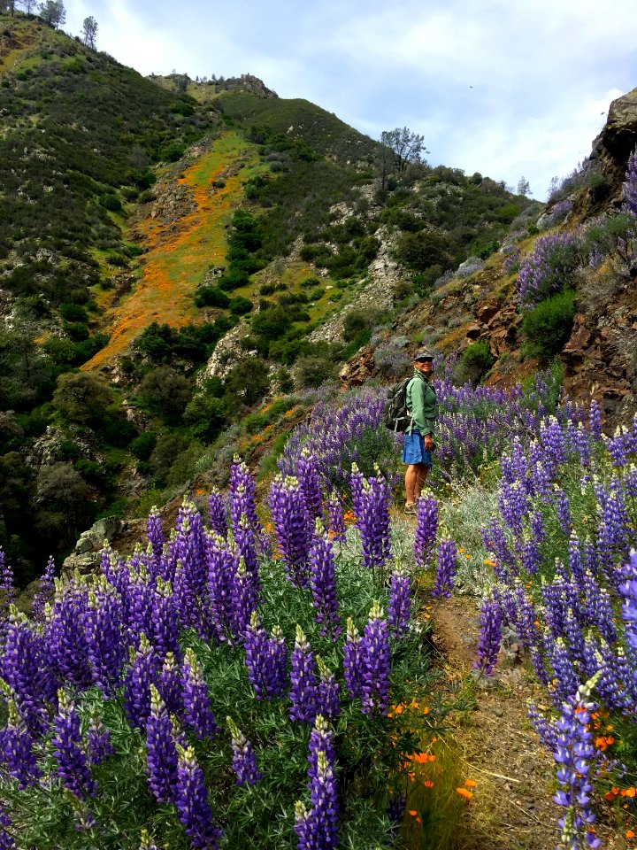 Merced River Recreation Area