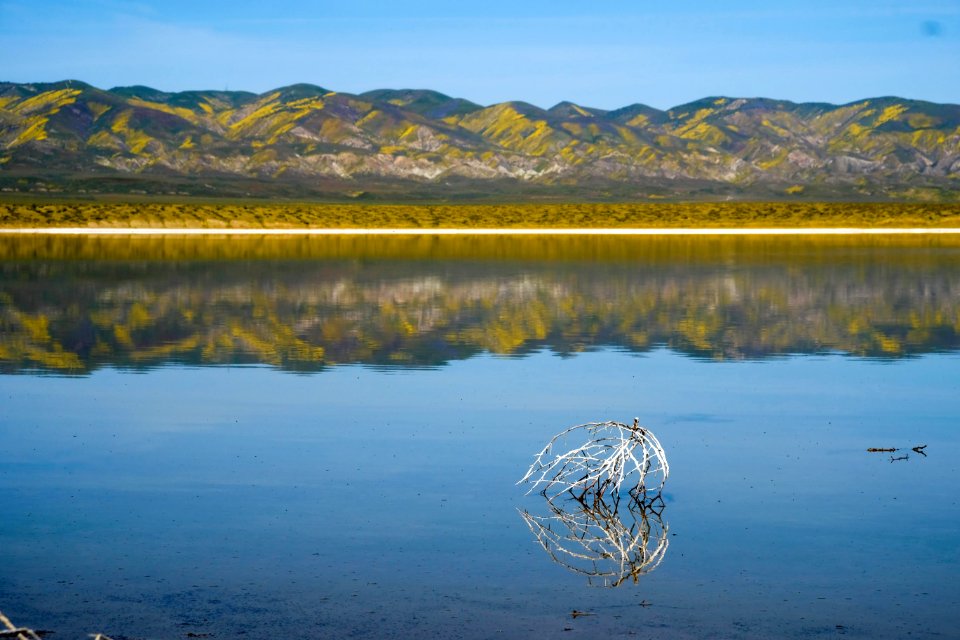 Solo Tumbleweed by Ha Lam