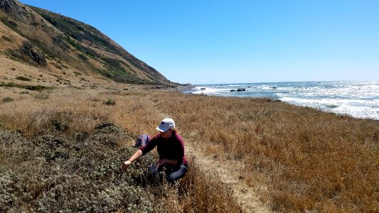 Lost Coast Trail in Arcata Field Office photo