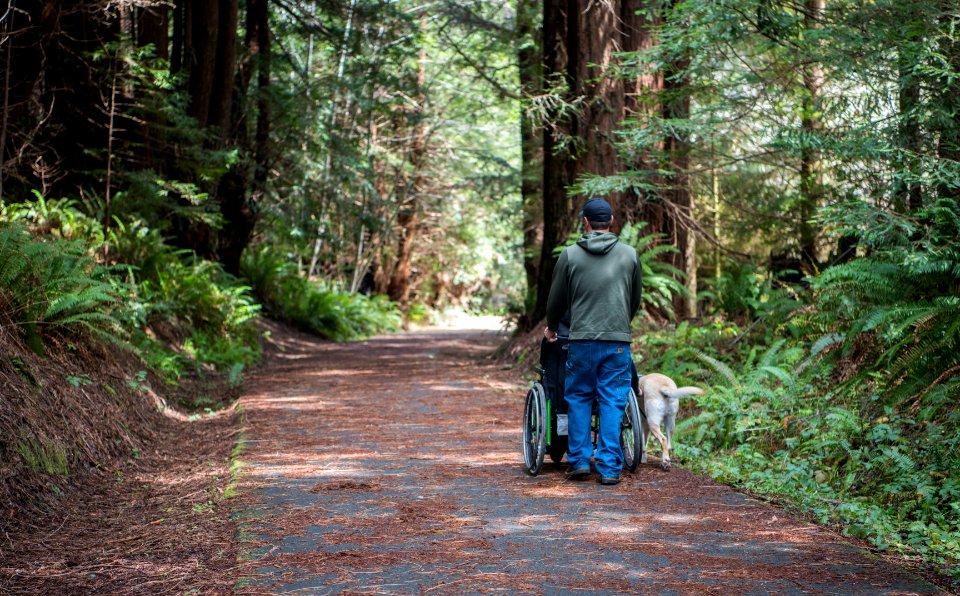 Headwaters Forest Reserve