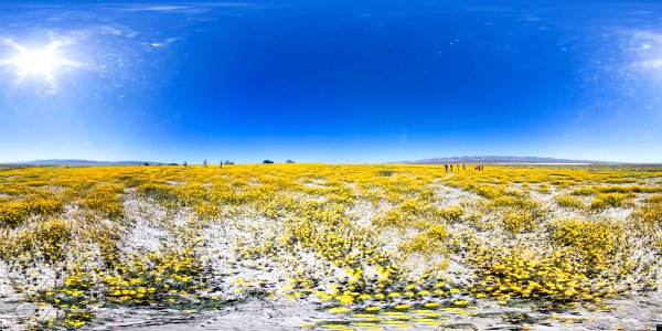 Carrizo Plain National Monument