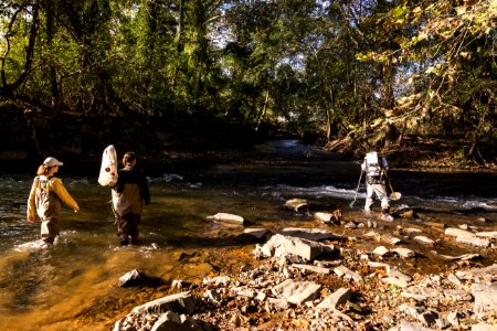 Chesapeake logperch surveying