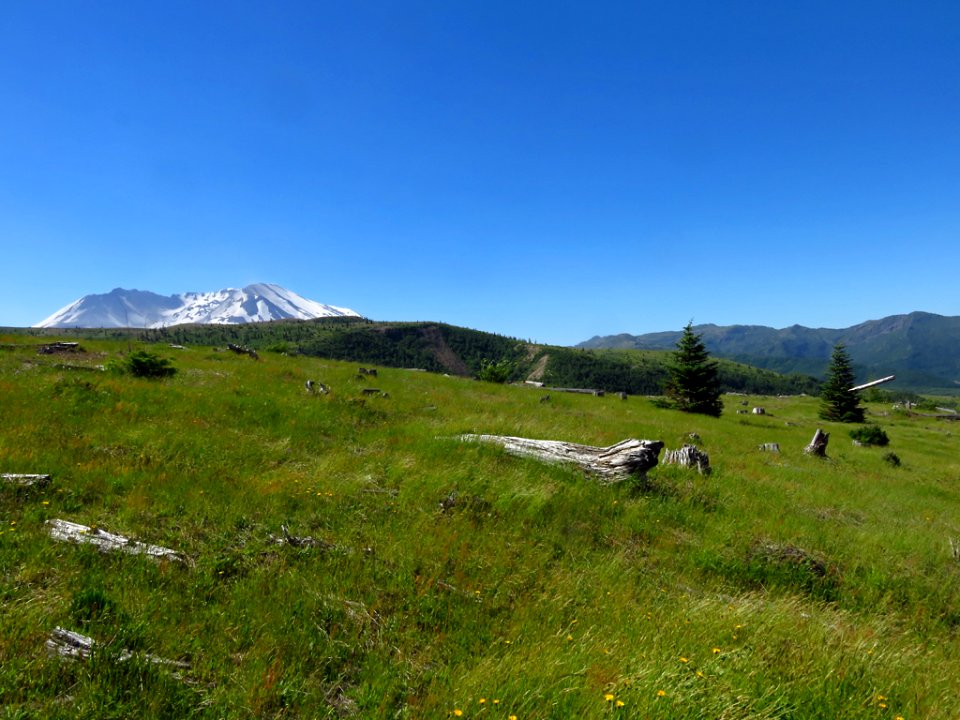 Coldwater Lake Trail at Mt. St. Helens NM in Washington