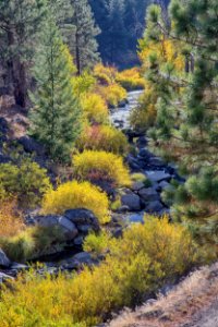 Bizz Johnson Trail