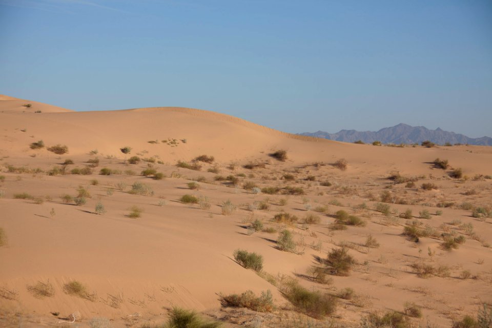 Imperial Sand Dunes Recreation Area