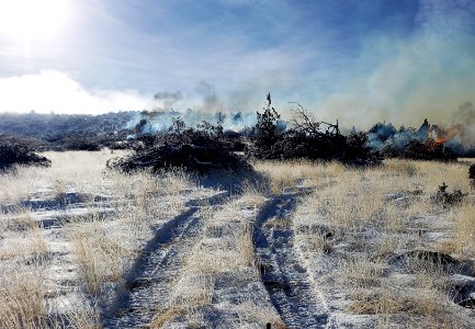 Pile burns on the Modoc Gulch fire project