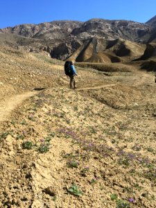 Coyote Mountain Wilderness in the El Centro Field Office