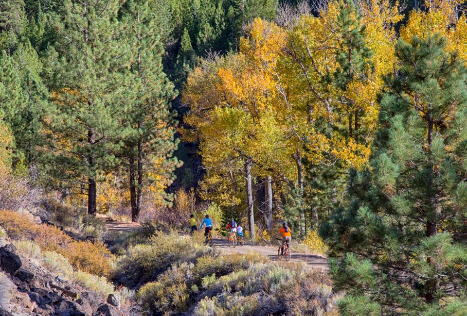 Bizz Johnson Trail
