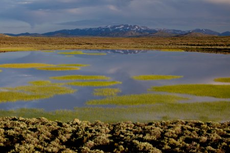 Bodie Hills
