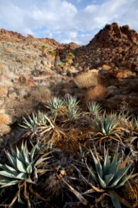 Santa Rosa San Jacinto Mountains National Monument photo