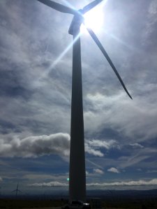 CONTEST WINNER: BLM Ridgecrest Field Office Tehachapi Pass Wind Facility photo