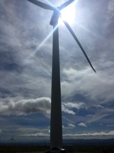 CONTEST WINNER: BLM Ridgecrest Field Office Tehachapi Pass Wind Facility