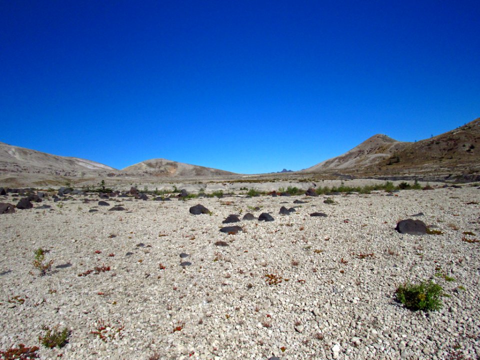 Plains of Abraham at Mt. St. Helens photo