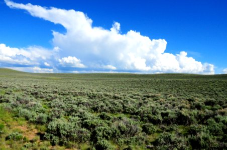 Sage steppe at Arapaho National Wildlife Refuge photo