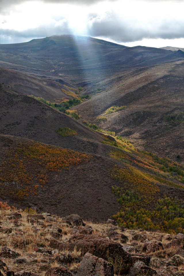 Bodie Hills