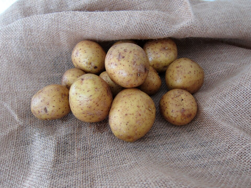 Self catering food burlap