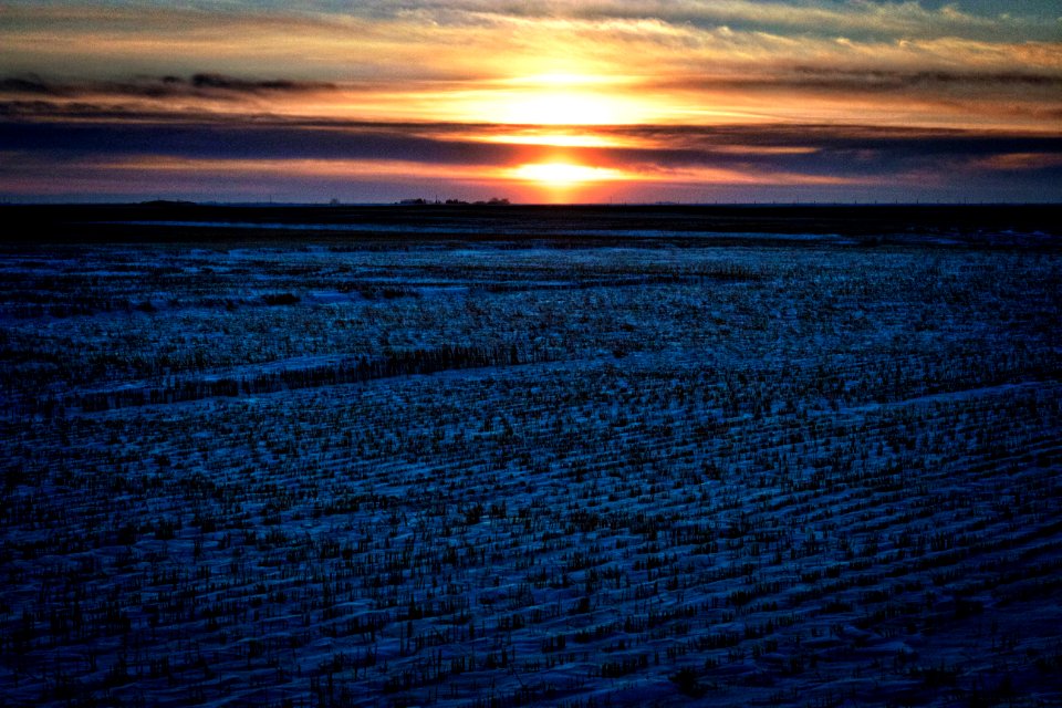 Good Night, Prairie