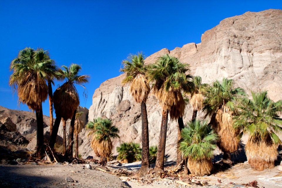 Mecca Hills Wilderness