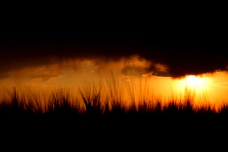 Through A Veil of Darkness, Light