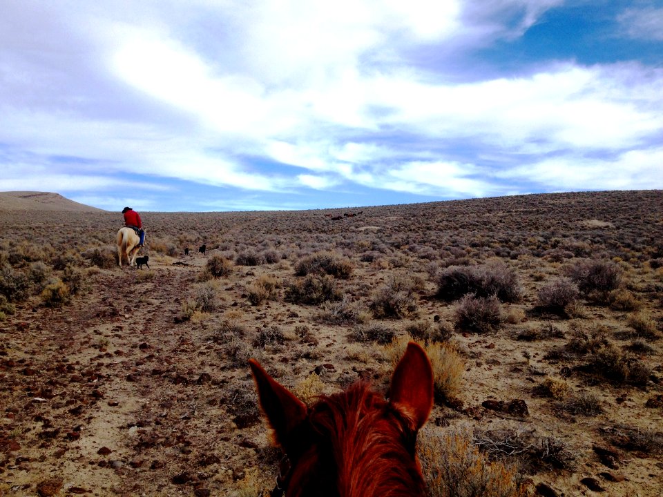 Horseback Riding