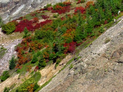 Ape Canyon Trail at Mt. St. Helens photo